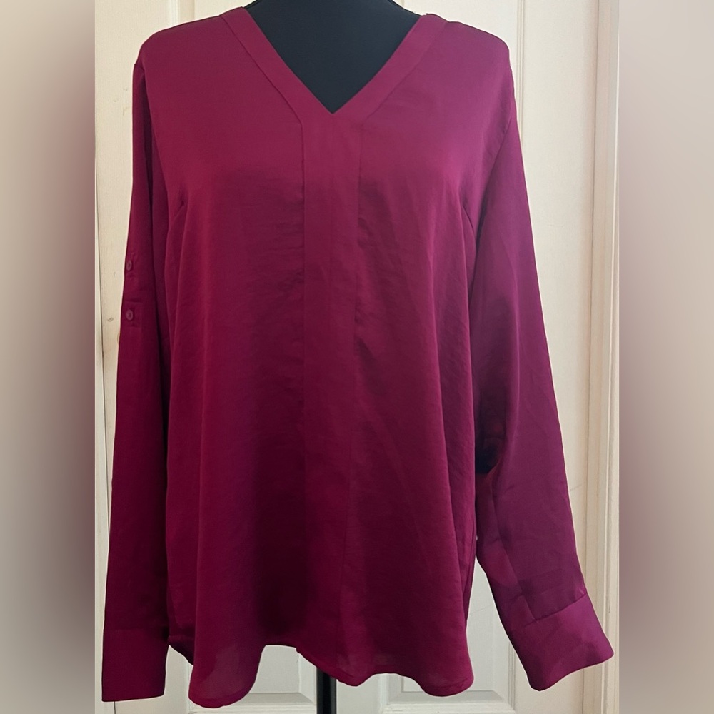 Express Deep Pink V-Neck Blouse